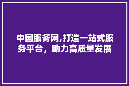 中国服务网,打造一站式服务平台，助力高质量发展