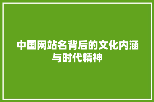 中国网站名背后的文化内涵与时代精神