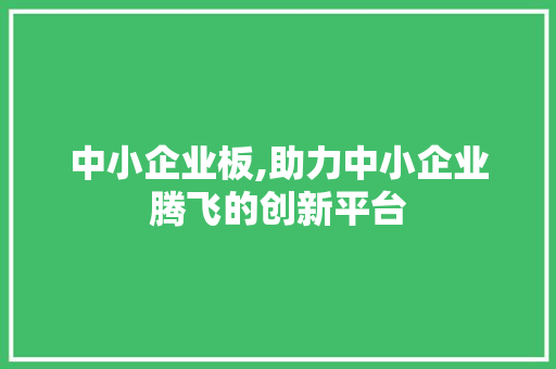 中小企业板,助力中小企业腾飞的创新平台