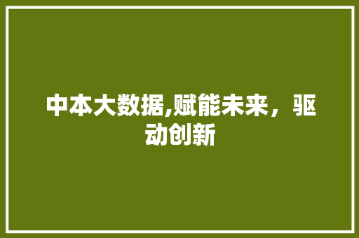 中本大数据,赋能未来，驱动创新