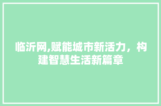 临沂网,赋能城市新活力，构建智慧生活新篇章