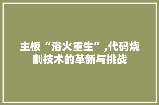 主板“浴火重生”,代码烧制技术的革新与挑战 番茄种植技巧