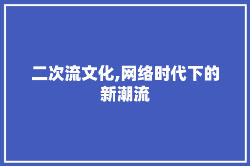 二次流文化,网络时代下的新潮流
