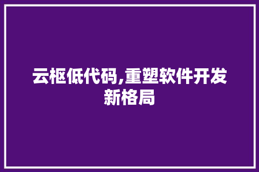 云枢低代码,重塑软件开发新格局