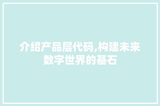 介绍产品层代码,构建未来数字世界的基石