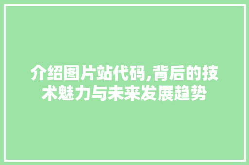 介绍图片站代码,背后的技术魅力与未来发展趋势