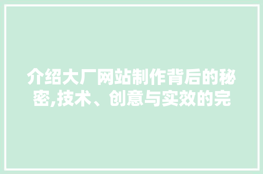 介绍大厂网站制作背后的秘密,技术、创意与实效的完美融合