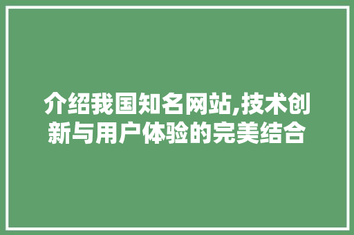 介绍我国知名网站,技术创新与用户体验的完美结合