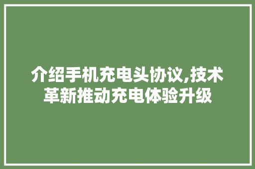 介绍手机充电头协议,技术革新推动充电体验升级