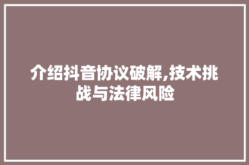 介绍抖音协议破解,技术挑战与法律风险