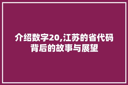 介绍数字20,江苏的省代码背后的故事与展望