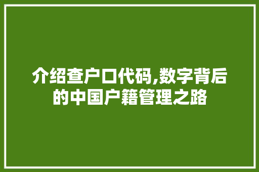 介绍查户口代码,数字背后的中国户籍管理之路