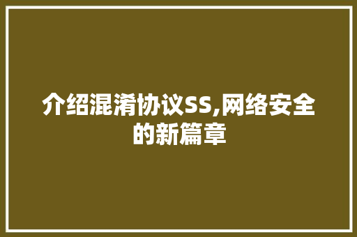 介绍混淆协议SS,网络安全的新篇章
