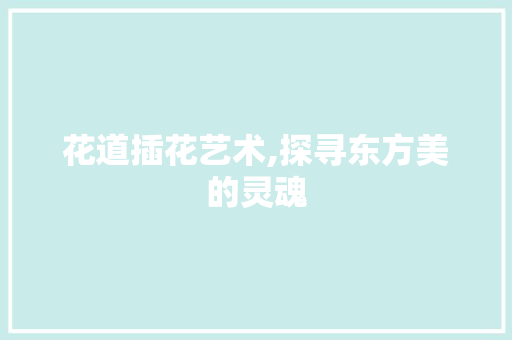 花道插花艺术,探寻东方美的灵魂