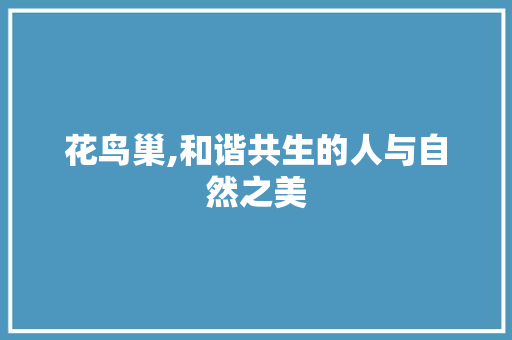 花鸟巢,和谐共生的人与自然之美