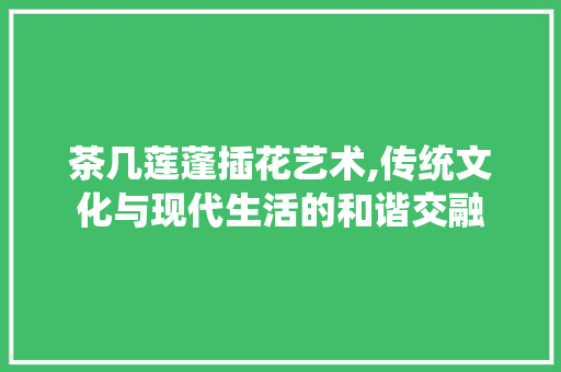 茶几莲蓬插花艺术,传统文化与现代生活的和谐交融