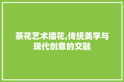 茶花艺术插花,传统美学与现代创意的交融 种植技巧