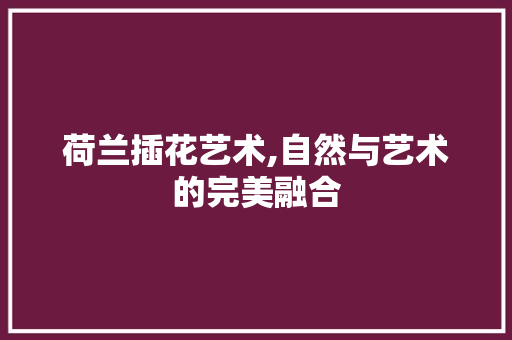 荷兰插花艺术,自然与艺术的完美融合