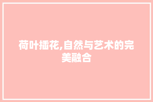 荷叶插花,自然与艺术的完美融合 花朵知识