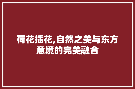 荷花插花,自然之美与东方意境的完美融合 植物种类