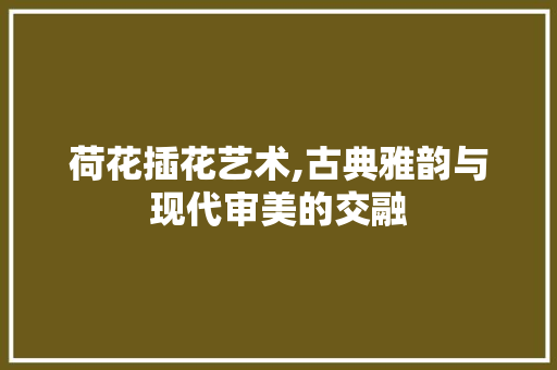 荷花插花艺术,古典雅韵与现代审美的交融 土壤施肥