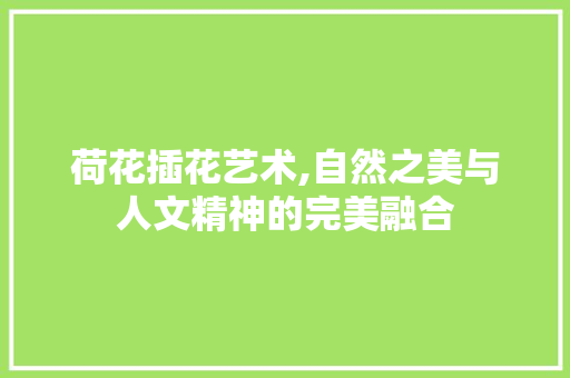 荷花插花艺术,自然之美与人文精神的完美融合 土壤施肥