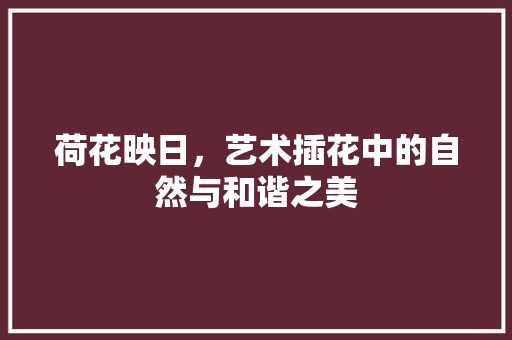 荷花映日，艺术插花中的自然与和谐之美