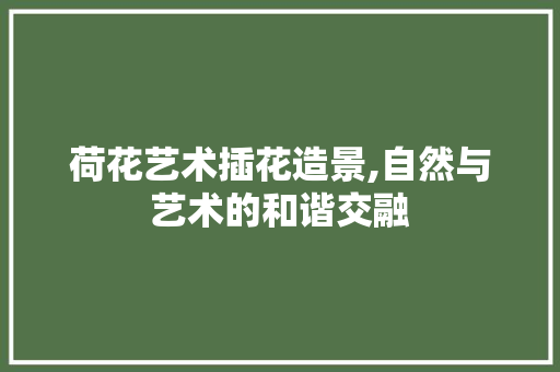 荷花艺术插花造景,自然与艺术的和谐交融