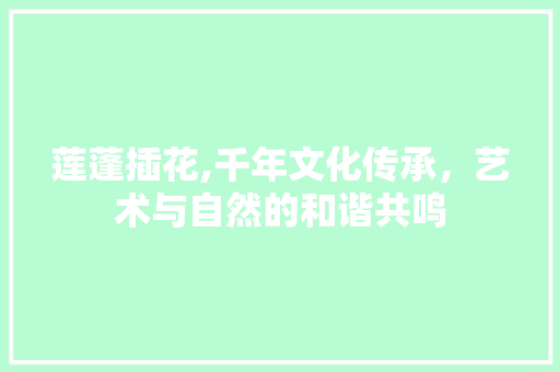 莲蓬插花,千年文化传承，艺术与自然的和谐共鸣