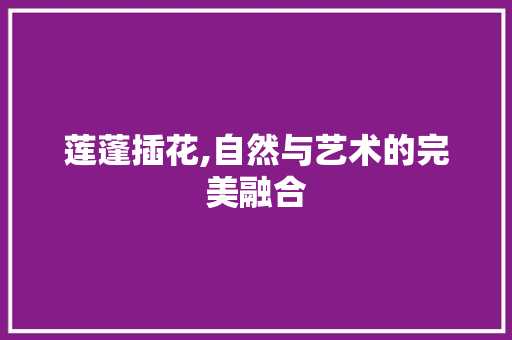 莲蓬插花,自然与艺术的完美融合