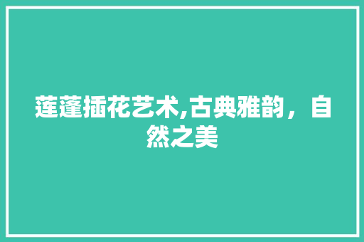 莲蓬插花艺术,古典雅韵，自然之美