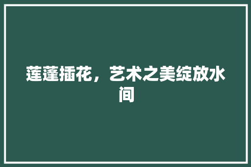 莲蓬插花，艺术之美绽放水间