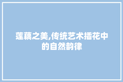 莲藕之美,传统艺术插花中的自然韵律 番茄病虫害防治 莲藕之美,传统艺术插花中的自然韵律 番茄病虫害防治