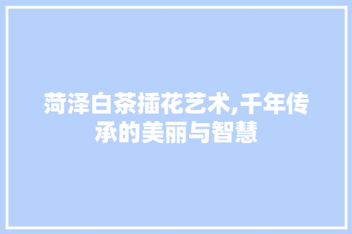 菏泽白茶插花艺术,千年传承的美丽与智慧