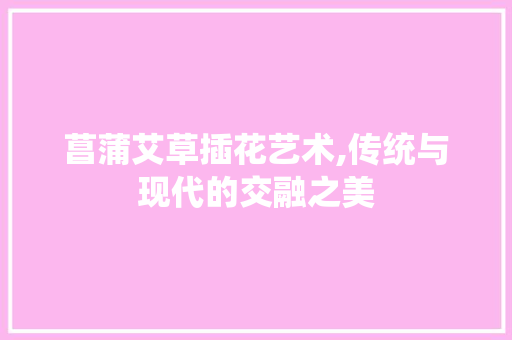 菖蒲艾草插花艺术,传统与现代的交融之美 种植技巧