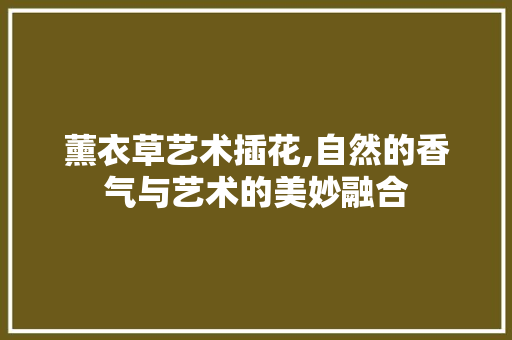 薰衣草艺术插花,自然的香气与艺术的美妙融合 花朵知识