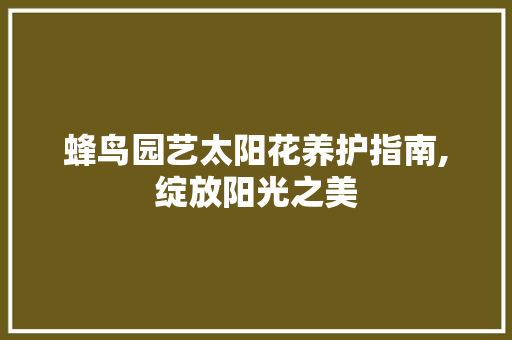 蜂鸟园艺太阳花养护指南,绽放阳光之美