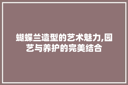蝴蝶兰造型的艺术魅力,园艺与养护的完美结合