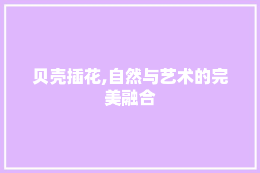 贝壳插花,自然与艺术的完美融合 农业常识