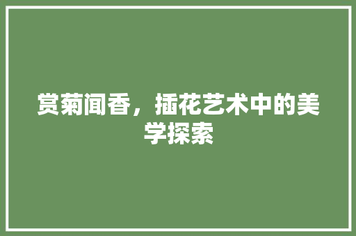 赏菊闻香，插花艺术中的美学探索