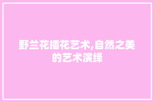 野兰花插花艺术,自然之美的艺术演绎