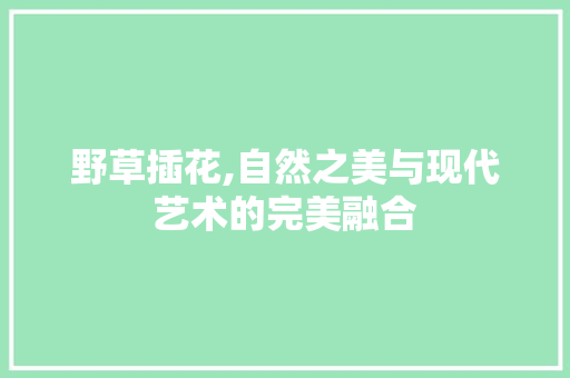 野草插花,自然之美与现代艺术的完美融合