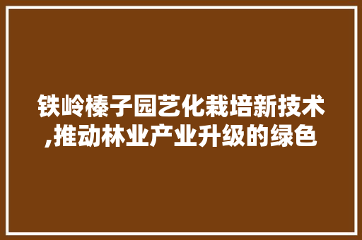 铁岭榛子园艺化栽培新技术,推动林业产业升级的绿色引擎