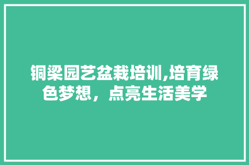 铜梁园艺盆栽培训,培育绿色梦想，点亮生活美学 番茄种植技巧