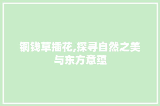铜钱草插花,探寻自然之美与东方意蕴 种植技巧