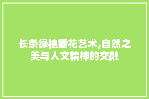长条绿植插花艺术,自然之美与人文精神的交融