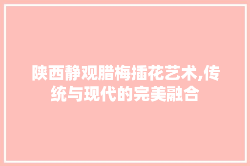 陕西静观腊梅插花艺术,传统与现代的完美融合