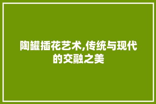 陶罐插花艺术,传统与现代的交融之美
