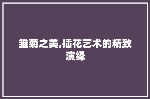 雏菊之美,插花艺术的精致演绎
