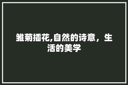 雏菊插花,自然的诗意，生活的美学 花朵知识